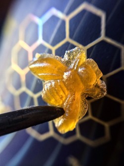 Connor726:  Errlqueen:  Dewaxed Platinum Widow Bee Dab  Miss-Daisyy