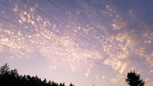 flowersilk:  the clouds look like glitter porn pictures