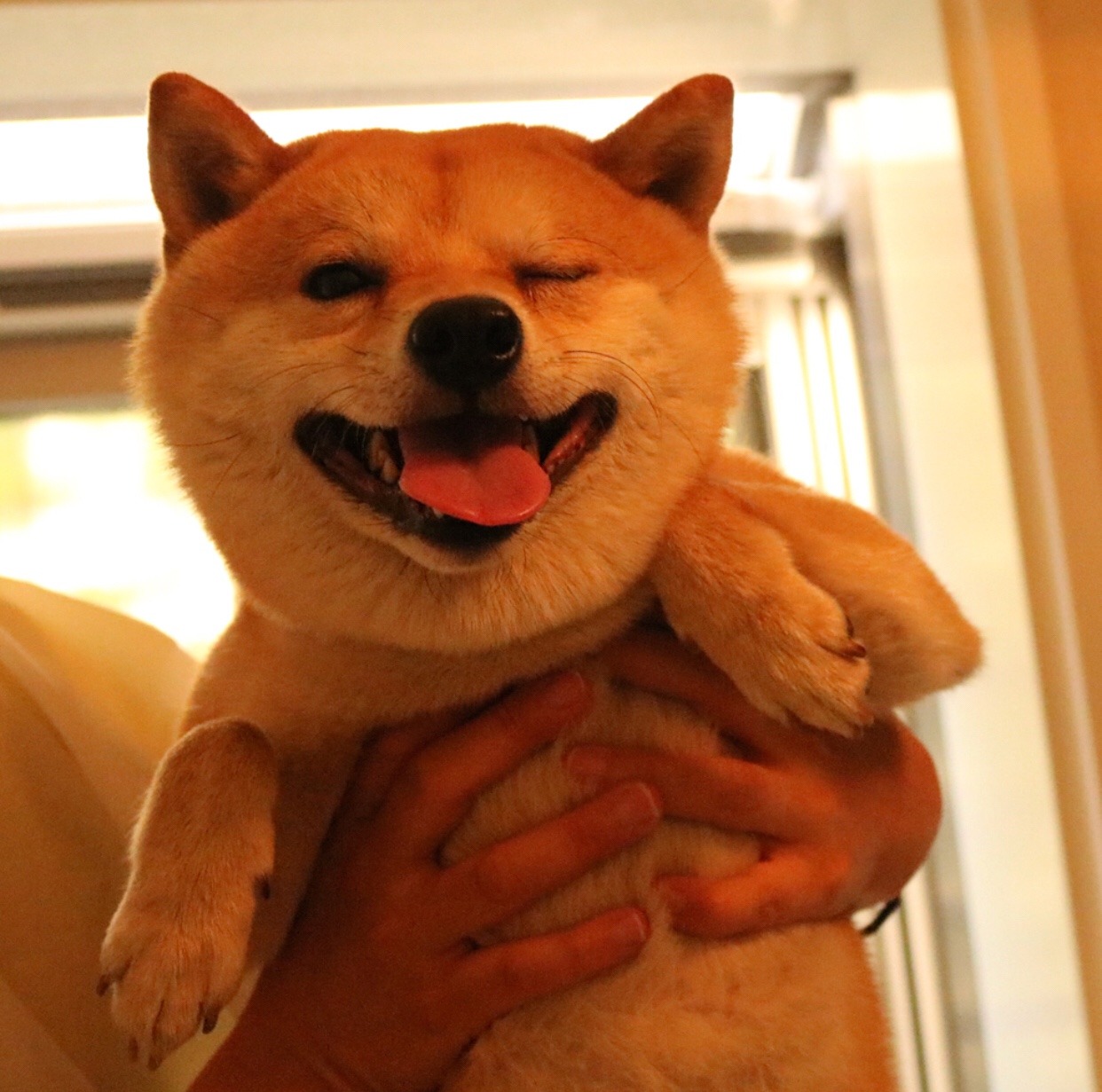 mustardtigress:chiyo bath time