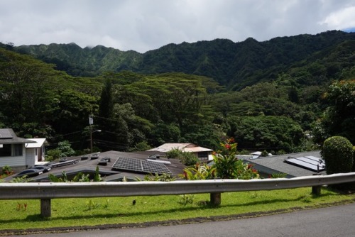 northern-nomad: Taken on my way up to Manoa Valley. It seems like everywhere I look, the view is pos