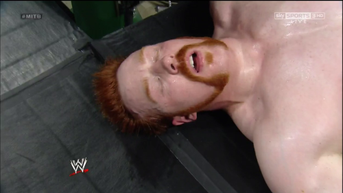 piper-bernadotte:  OMG…  Unf Sheamus likes porn pictures