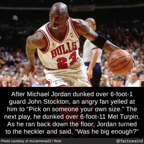 mindblowingfactz:  After Michael Jordan dunked adult photos