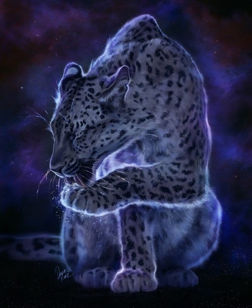 foxtrtter:  tamberella: My starry creatures series thus far. I have really enjoyed developing this and am excited to continue to.  @voidsarcade   Oooo~! :o
