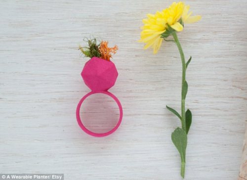 asylum-art:  Wearable Planter: ‘It’s jewelry for green thumbs’: Designer’s business blossoms thanks to rings and necklaces that contain living plants Jewelry for green thumbs’ is how Colleen Jordan, an Atlanta-based industrial designer, describes