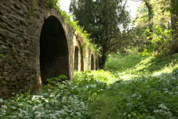 pagewoman:  Malvern, Worcestershire, England