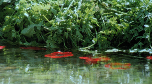 365filmsbyauroranocte: Gabbeh (Mohsen Makhmalbaf, 1996) 