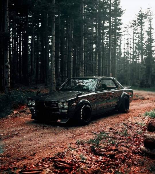 Sex 4theluvofwheels:Nissan Skyline…. Hakosuka pictures