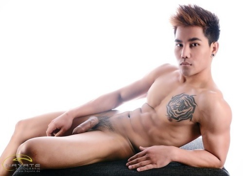 nicktop1069:  美國亞裔健壯刺青大粗屌髮型設計師