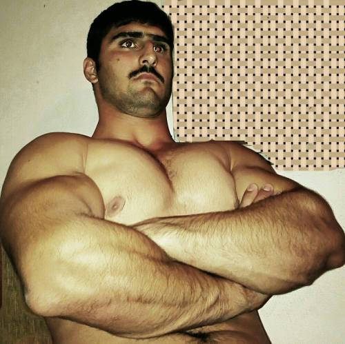 arabtox:Haidar, From Syria Big guy!