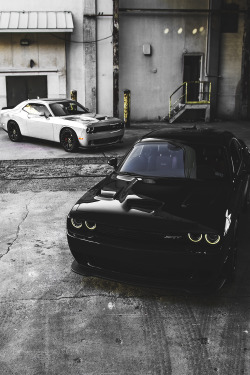 mistergoodlife:  Hellcats • Mr. Goodlife