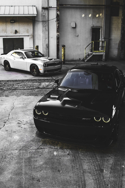 mistergoodlife:Hellcats • Mr. Goodlife • Instagram