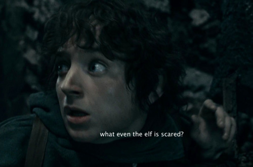 queenerestor:  In case of emergency measure the danger on the elf 