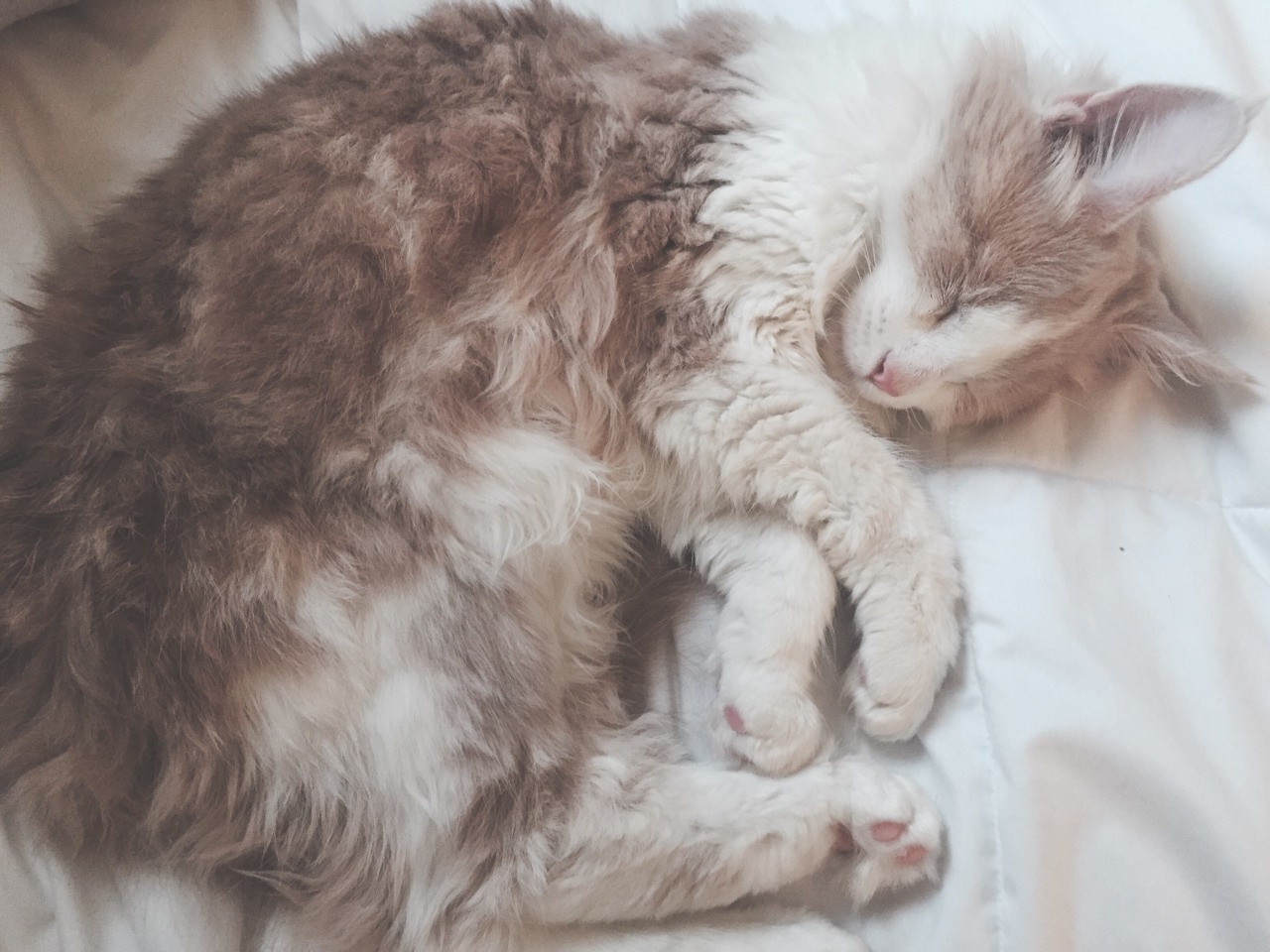 lame-astrology:  he’s a nerd