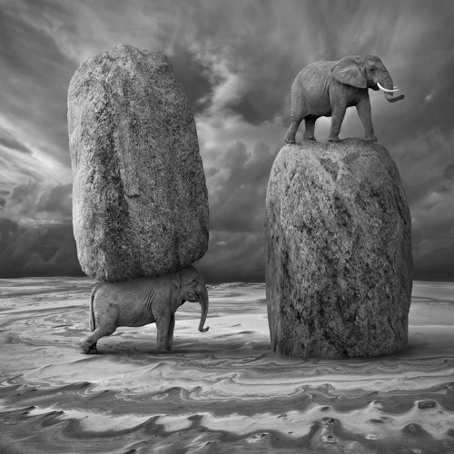 lysmagicsalvation:  f-l-e-u-r-d-e-l-y-s:  Surreal Photo Manipulation By Photographer Dariusz Klimczak Polish photographer Dariusz Klimczak composes dreamlike landscapes that hypnotize with their surprise and weirdness. The photographer’s digital photo