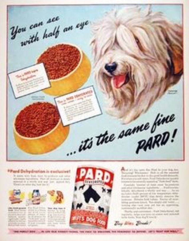 Dog Retro. Just pet