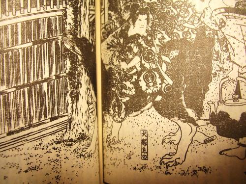 ozeanflug:  Today, after all these years of checking used book store, I finally found the first book of original hakkenden!!(I already have second and third book). This version was published in 1922 and as you can see, they published it in old writing