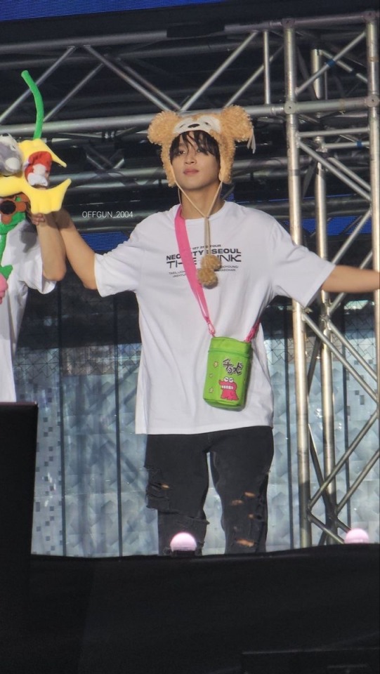 Our Cute Bear
