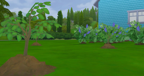 Since we had used all of our simoleans on the house/lot. I waited for the world to start spawning ha