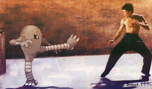 hitmonlee