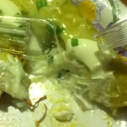 Plastic fork broke while eating enchiladas,