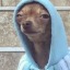 lorgepuppy
