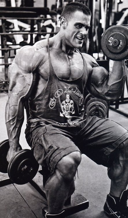 musclejake69:Evan Centopani