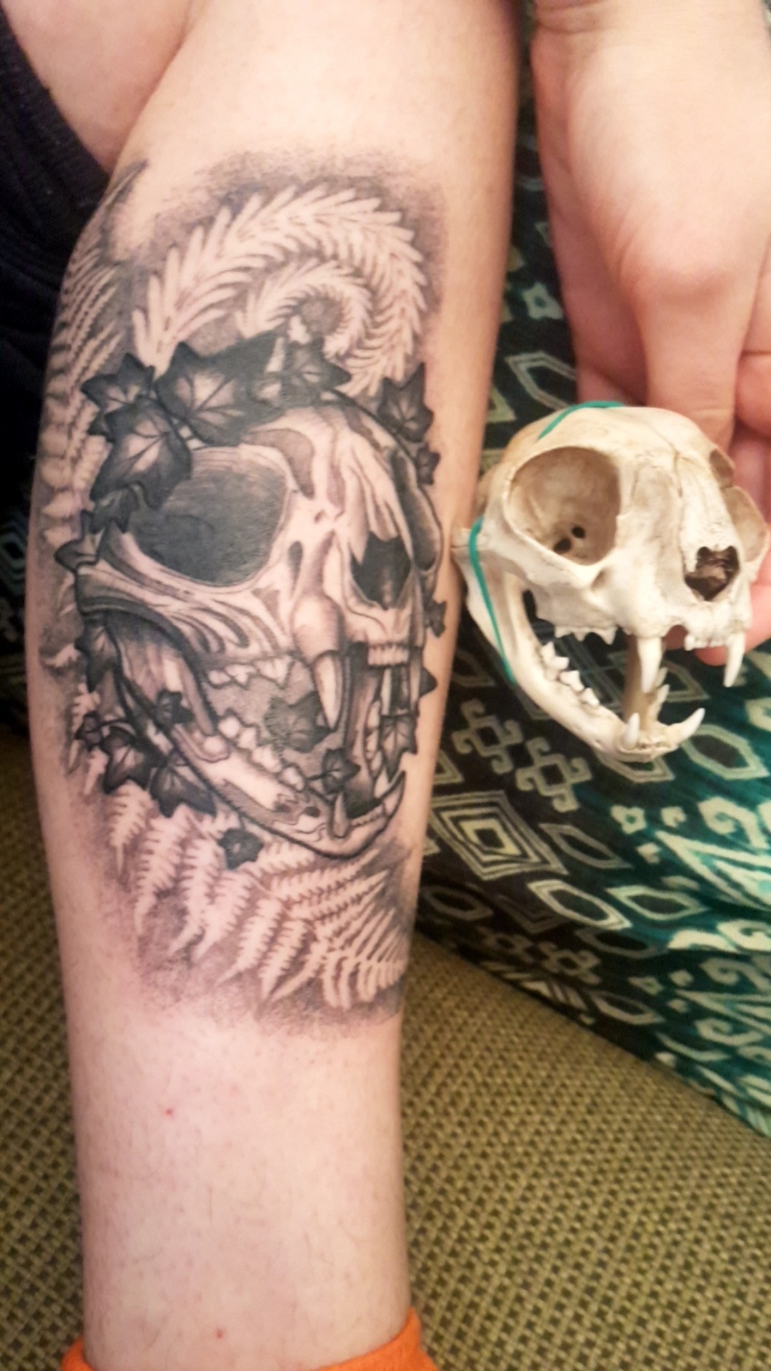 Vulture Culture Vulture Culture Inspired Cat Skull Tattoo With Vulture Culture Vulture Culture Inspired Cat Skull Tattoo With