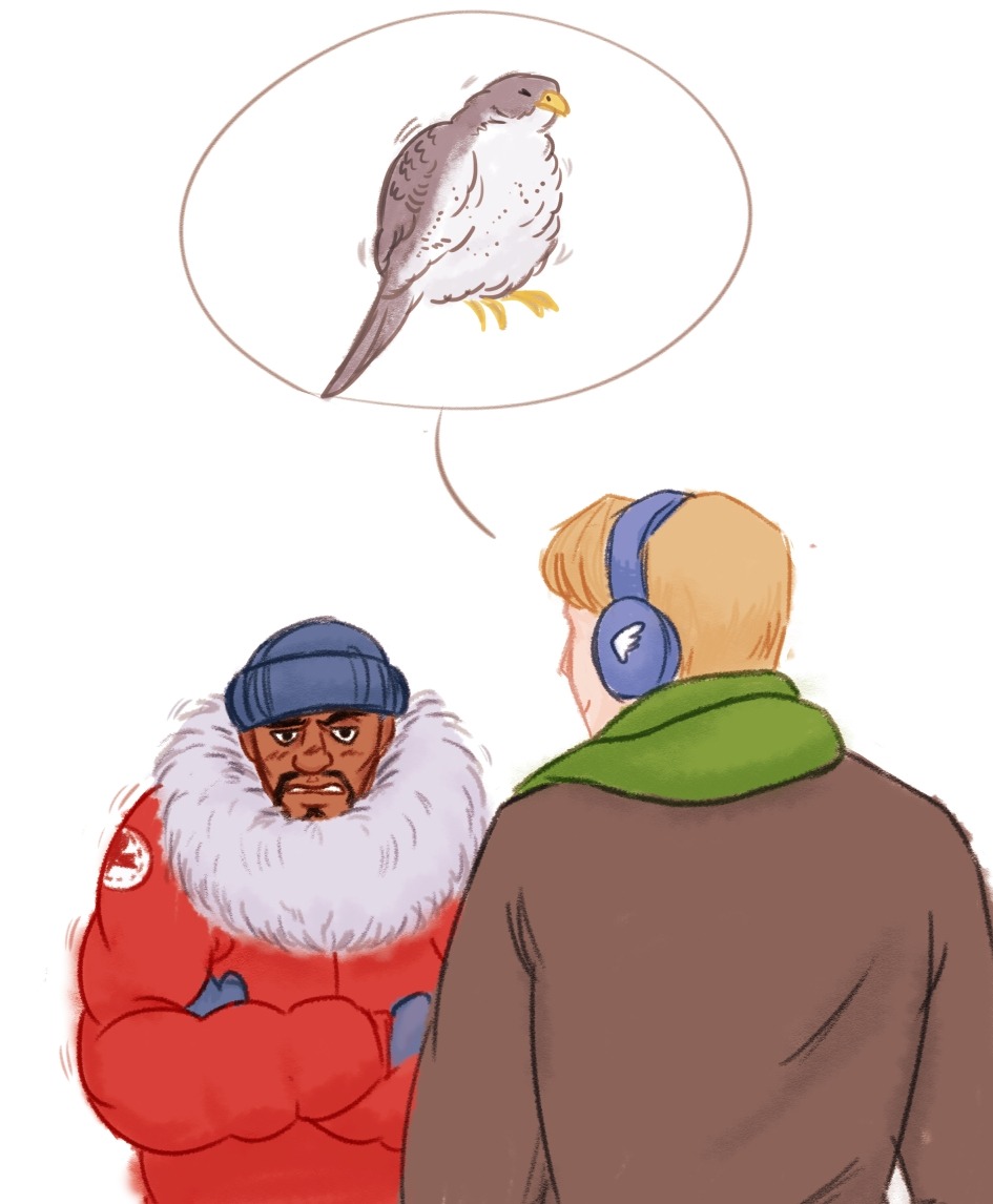 illustratedacorns:  A cold fluffed up bird for captaincuddlepile. (Steve shut up,