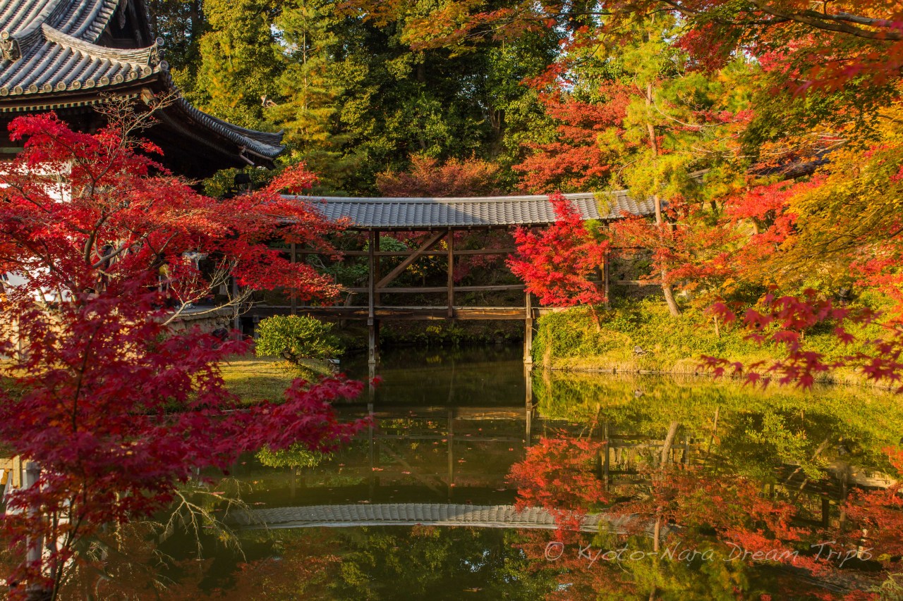 kyotodreamtrips:  This is a view of the Garyōrō (臥龍廊), or “Lying Dragon