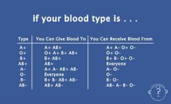 unrepentantwarriorpriest:robson921:  pastor-decanus:  Knowledge is worship, and now you know.   Knowledge is power, which corrupts. My plan to world domination begins here  Blood types and boobies… its as good a place to start as any. Well played sir,