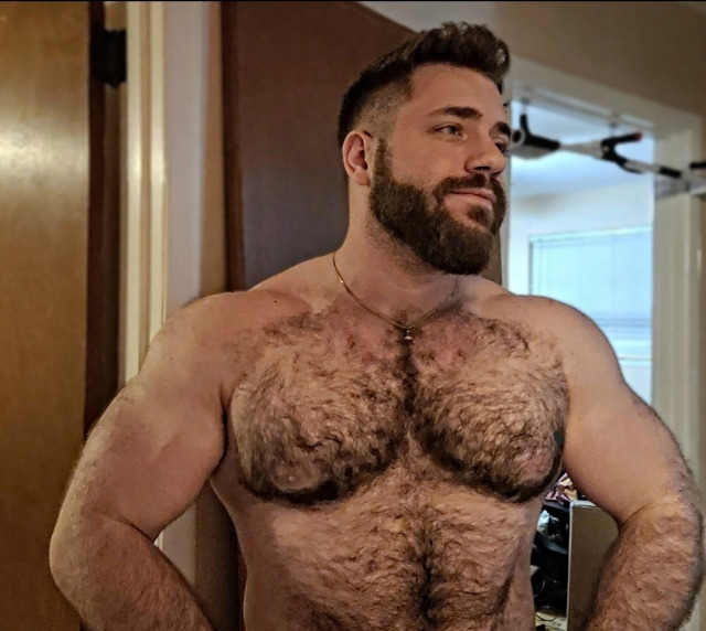 hairydadsandmuscle: