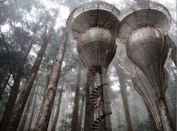 architizer:  Another Awesome Treehouse! 