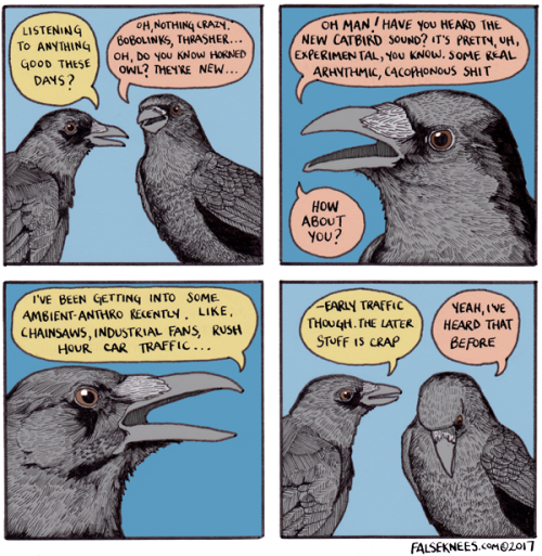 teratocybernetics: falseknees: Crows! :&gt; @slow-motion-shadow