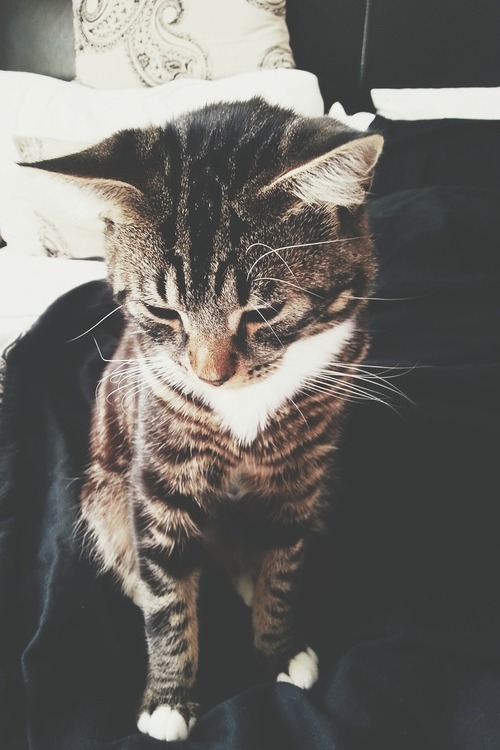 unevxntful:  my blog will make you smile ♥