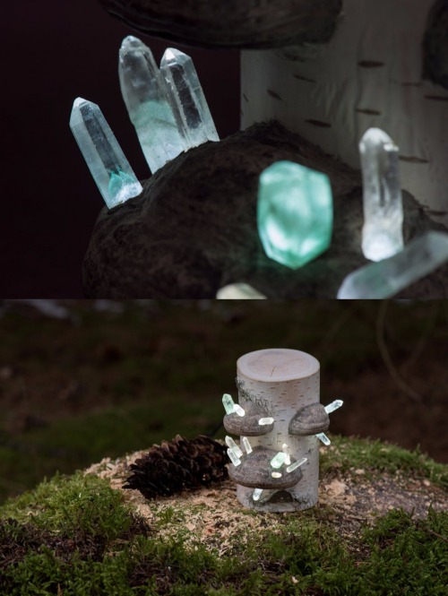 xenonkunai:sosuperawesome:Never before documented, discovered in wild northern forests these magical