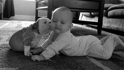 avidadeumagorda.tumblr.com/post/102534180092/