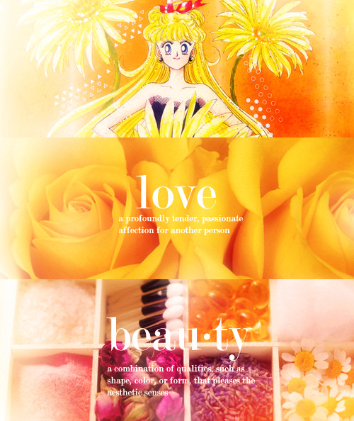 wateredmist:  Complete Sailor Moon Dictionary Series 