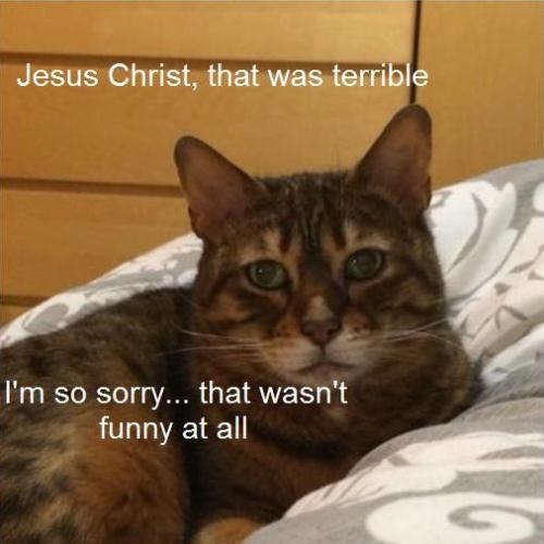 djsckatzen:  dnotive:  tastefullyoffensive:  Sad Cat attempts comedy. [x]  This cat is me.  its funny bc ur a furry and u make a fuckton of puns