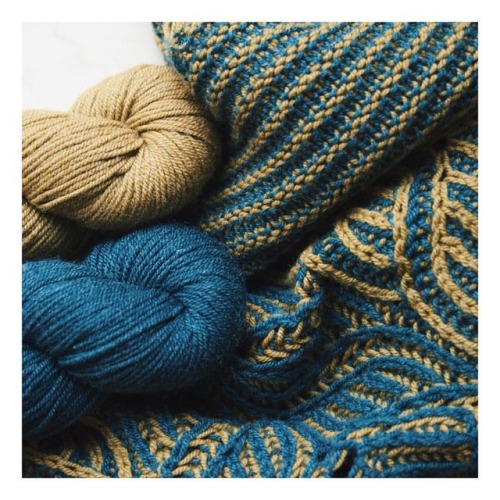 quinceandco:A closeup of that brioche and that Tern in the Tiger Flower shawl. Colors Honey and Petr