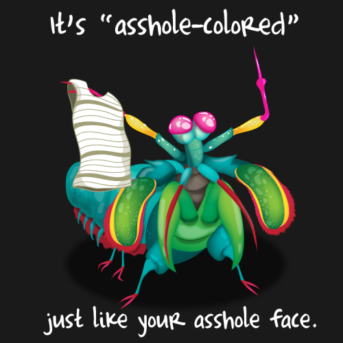 oatmeal:  The mantis shrimp has spoken.