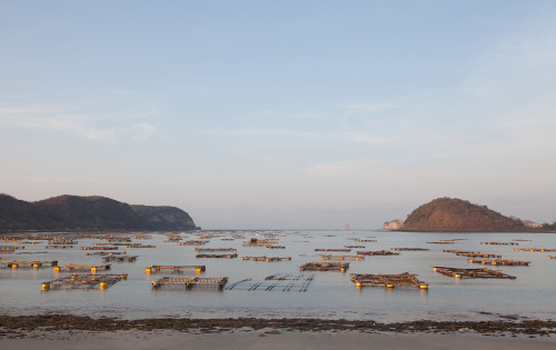 Lobster Bay, Lombok Indonesia