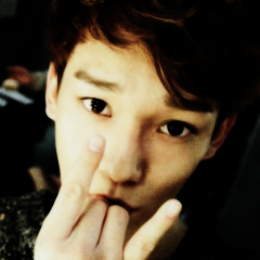 EXO Selcas Icons