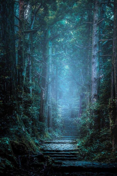 itsmarjudgelove: Ancient trails of Kumano by Hisanori Manabe.            
