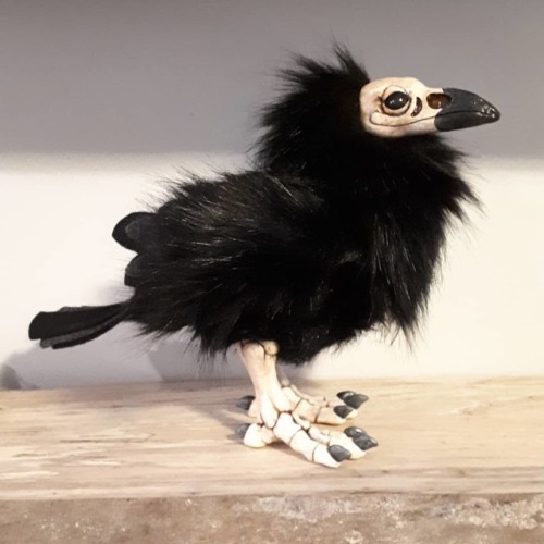 parliamentrook:homemadehorrors:A spooky boy! #raven #nevermore #halloween #skull #artdoll #homemadeh