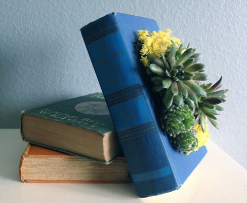 sosuperawesome:Upcycled Vintage Book Planters by PaperDame on Etsy• So Super Awesome is also on Face