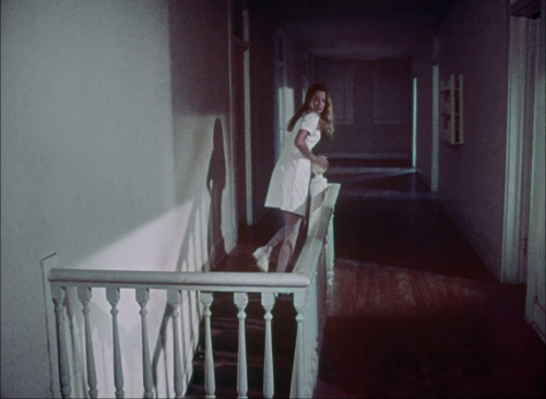 roserosette:  Don’t Look in the Basement, 1973, S. F. Brownrigg