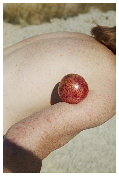 wandering-bears:  Charlie Engman 