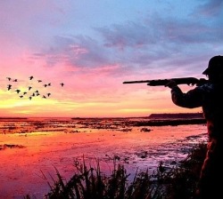 acountrygirlblog:  Hunting is perfect.