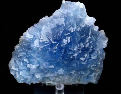 geologyin-blog: Sky Blue Fluorite crystals from Hunan Province in China Photo: GeorgioStones