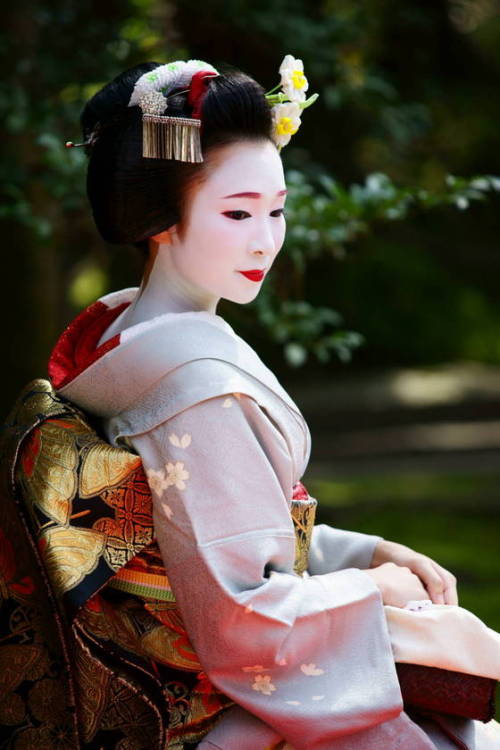 Porn Pics geisha-kai:  March 2015: maiko Fukumari (SOURCE)